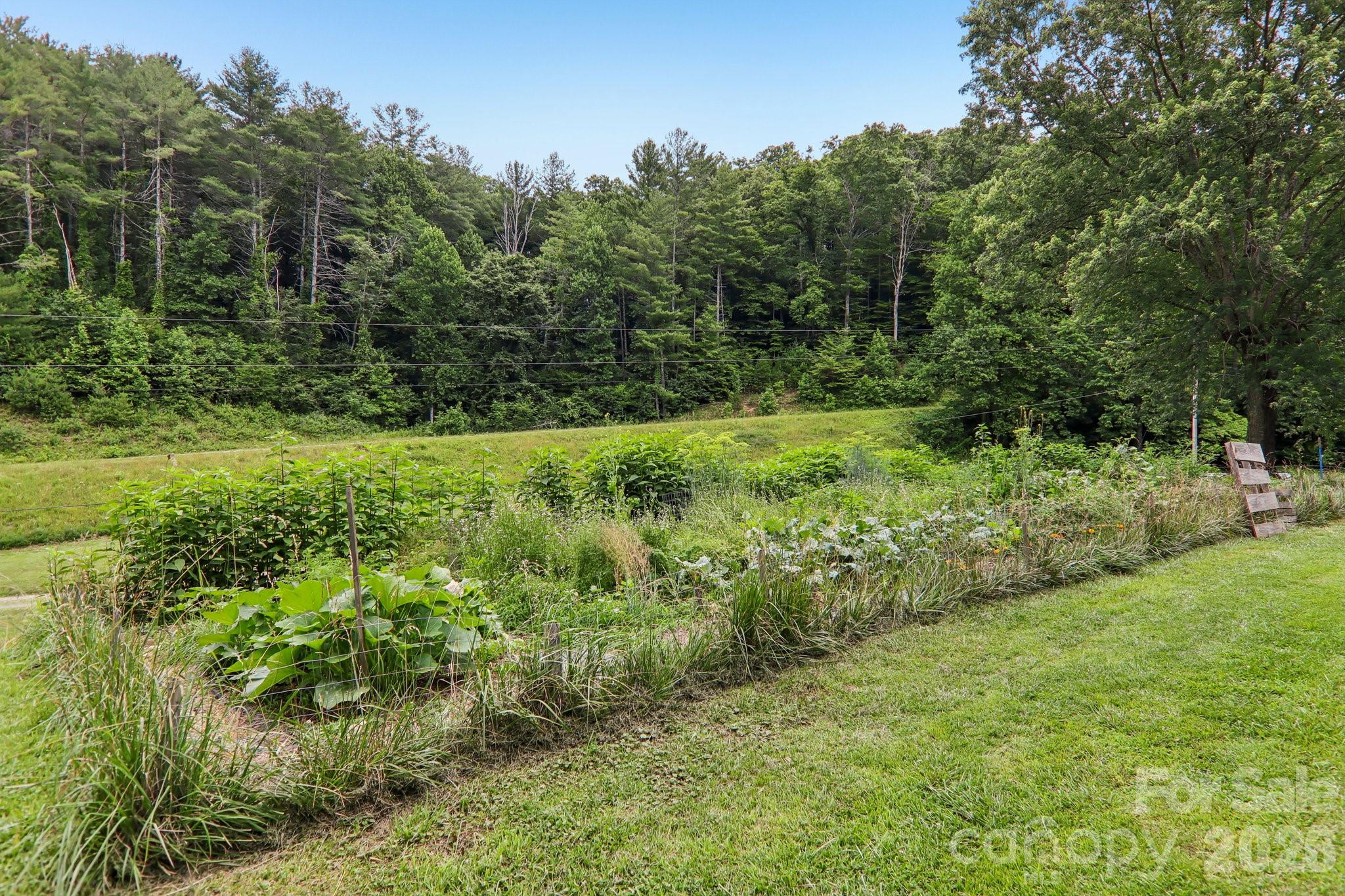 164 Pegg Road Property Photo 34