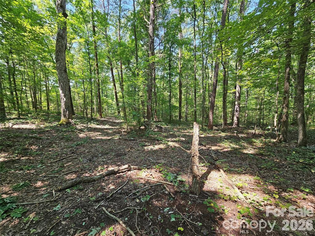 625 Dream Lane Property Photo 10