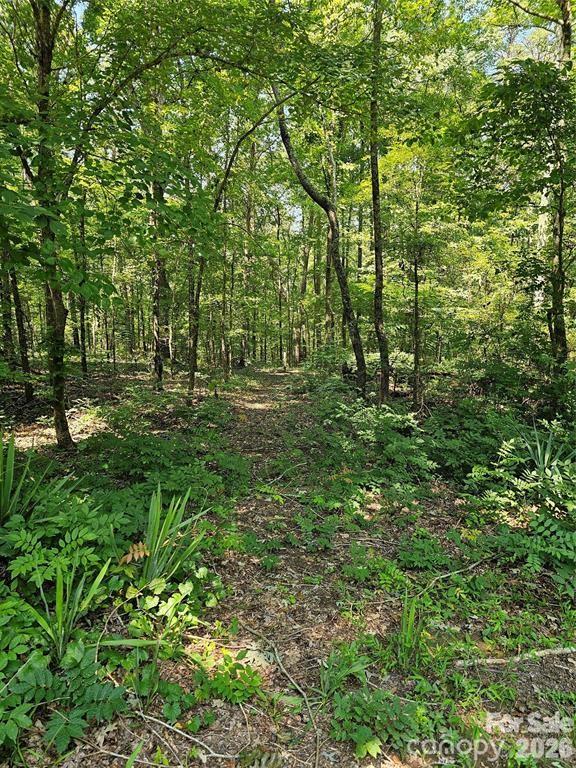 625 Dream Lane Property Photo 18