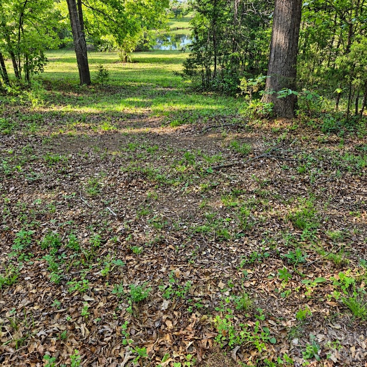 3628 Rainey Avenue Property Photo 45