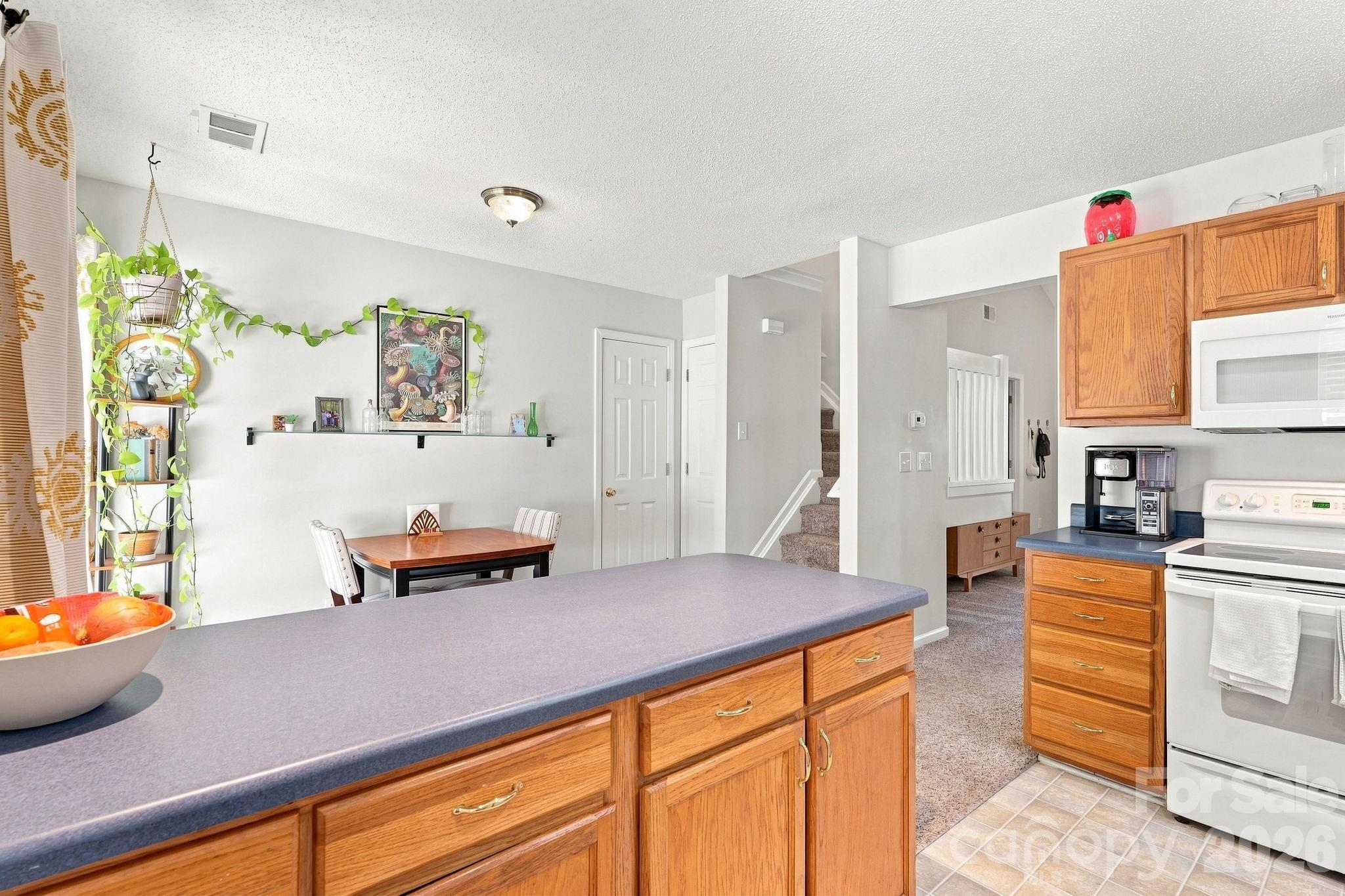 10171 Reindeer Way Lane Property Photo 4