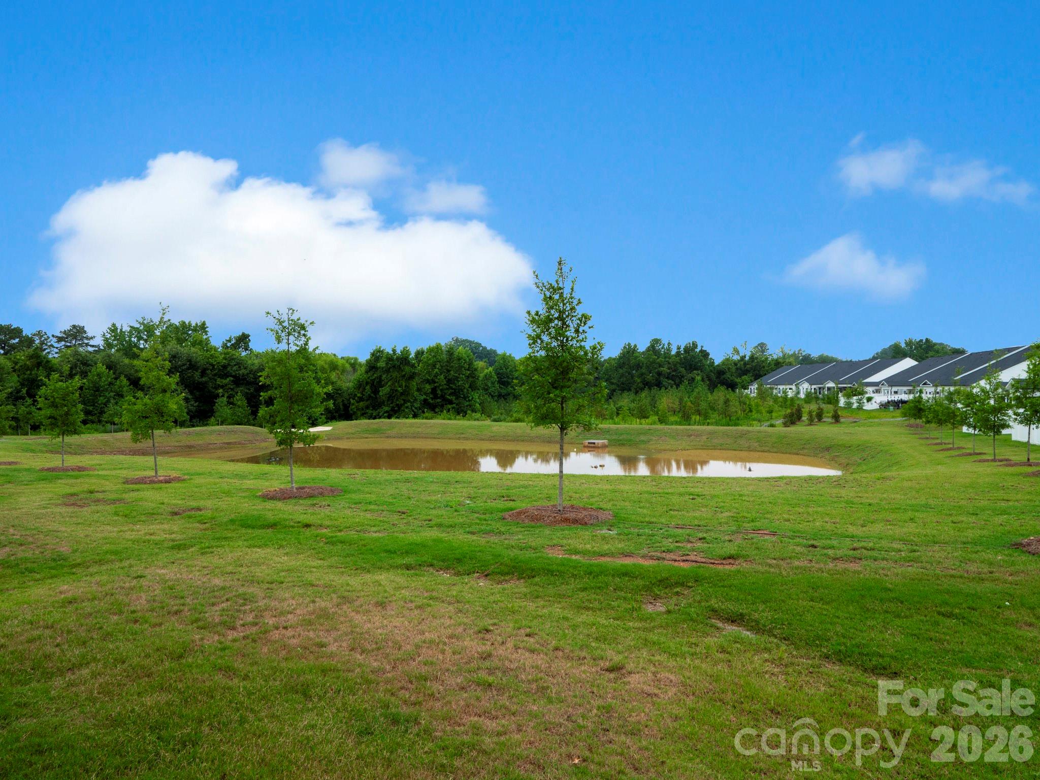 1531 Dennis Austin Lane Property Photo 39