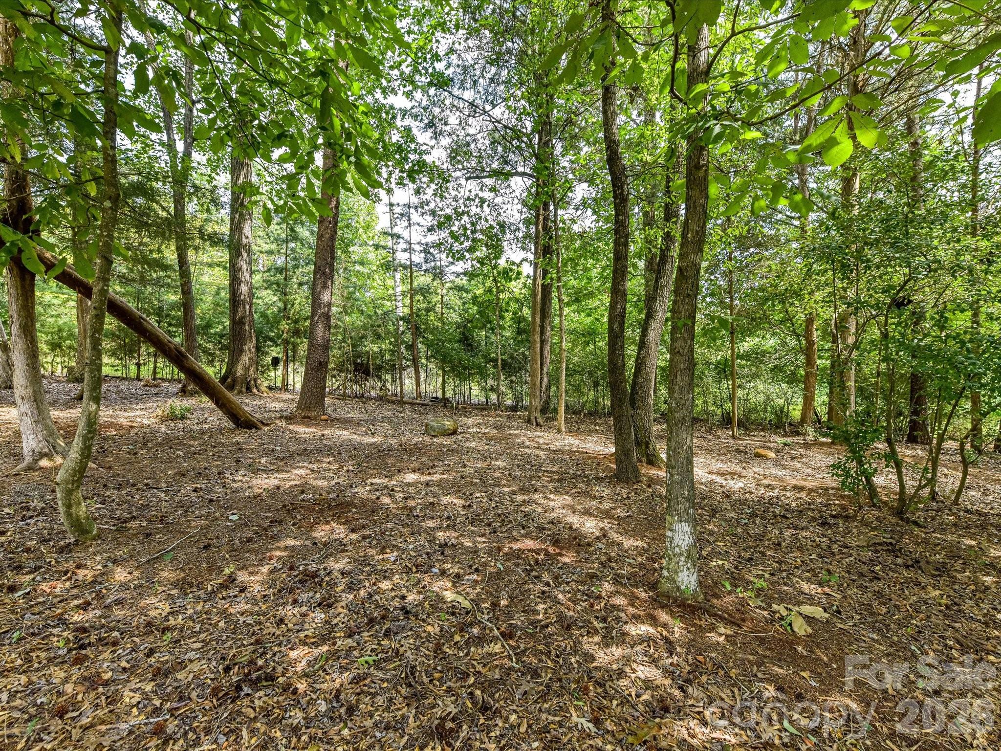 12323 Cherrybark Lane Property Photo 36