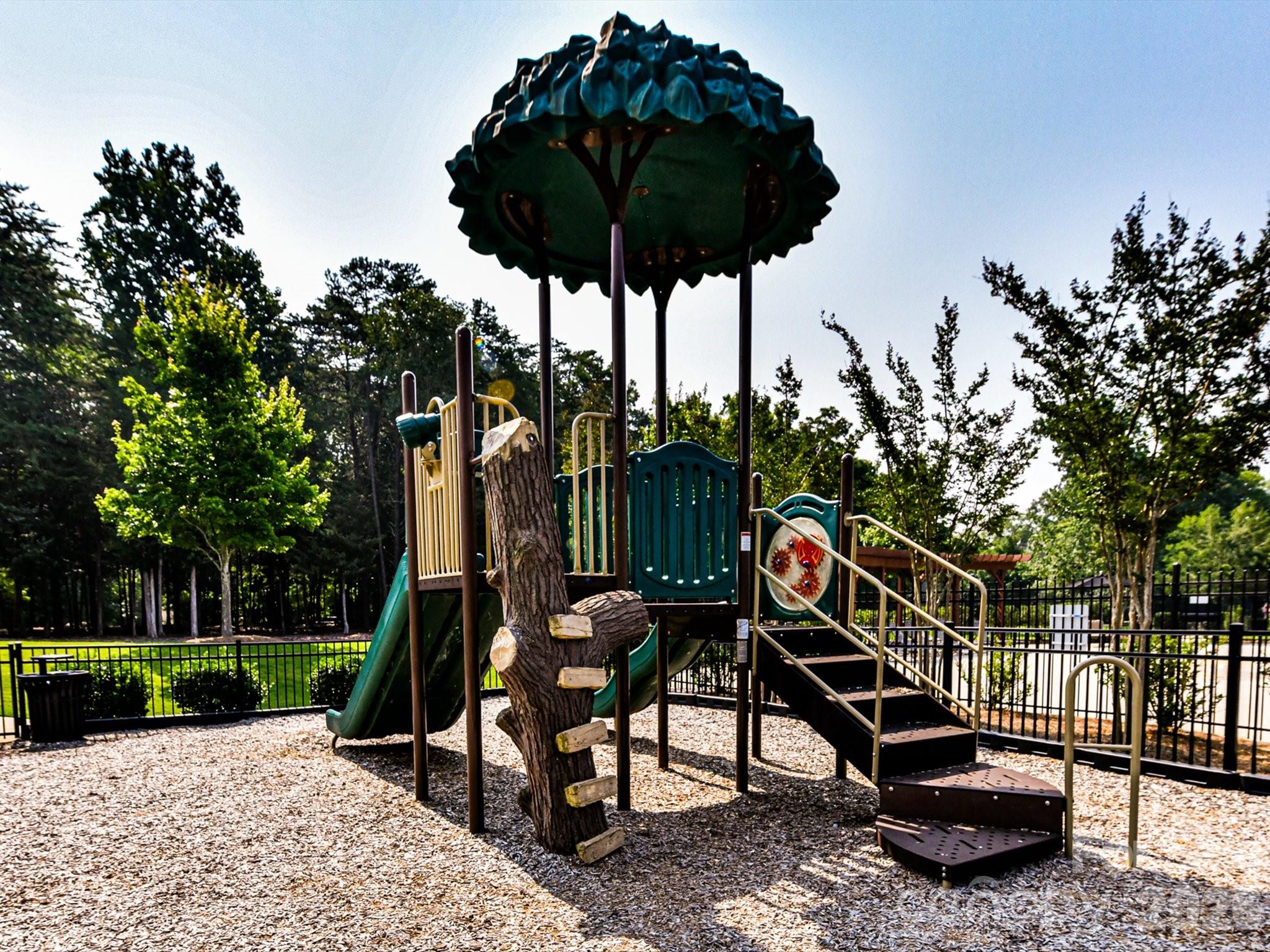12323 Cherrybark Lane Property Photo 47