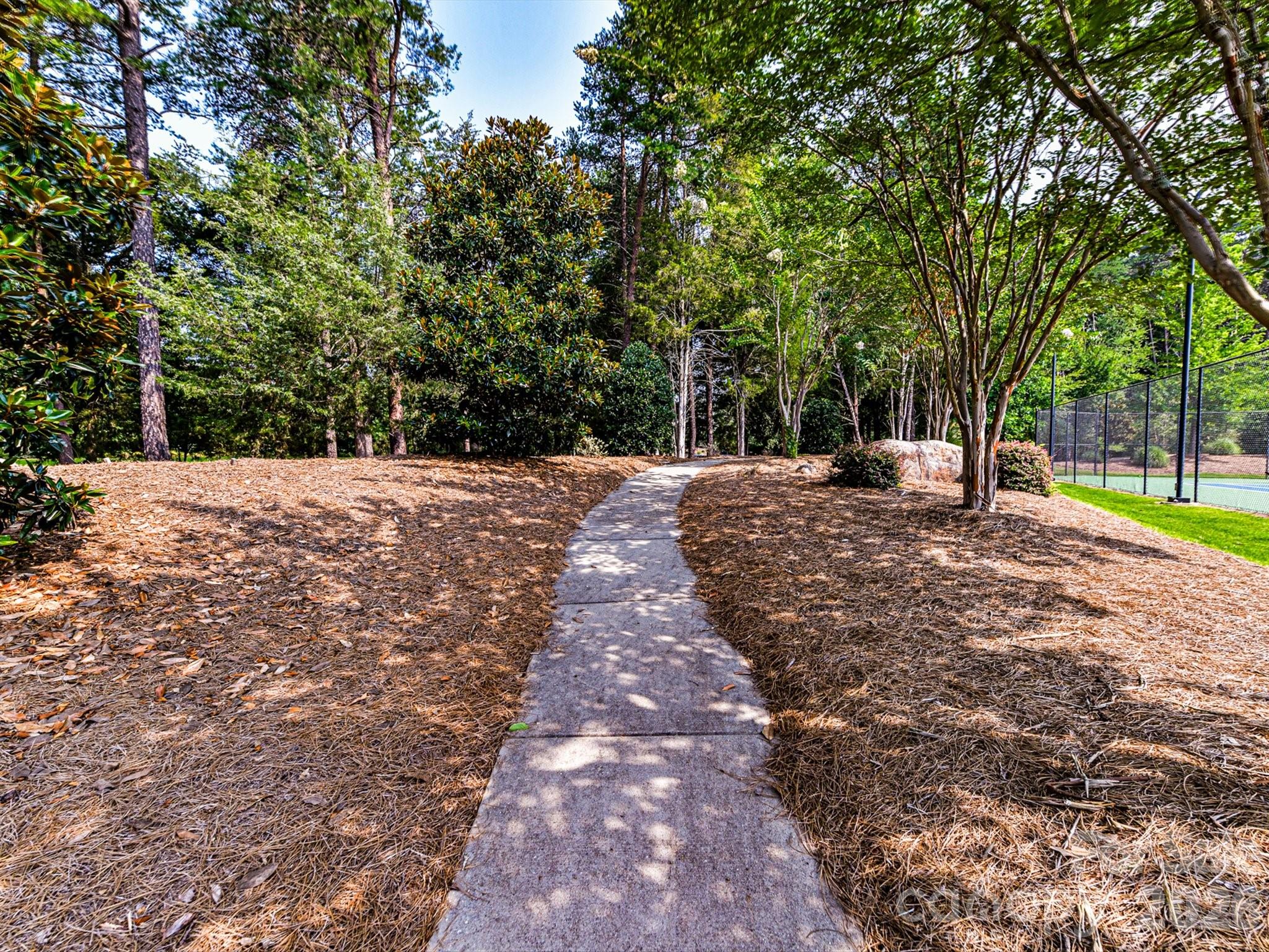 12323 Cherrybark Lane Property Photo 48