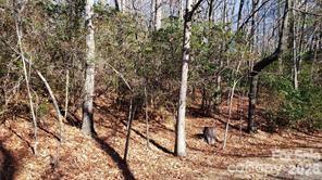 Tbd Galax Lane G-11 Property Photo 2
