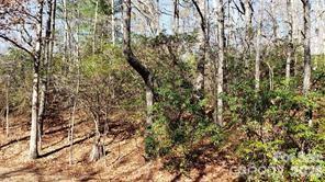 Tbd Galax Lane G-11 Property Photo 3