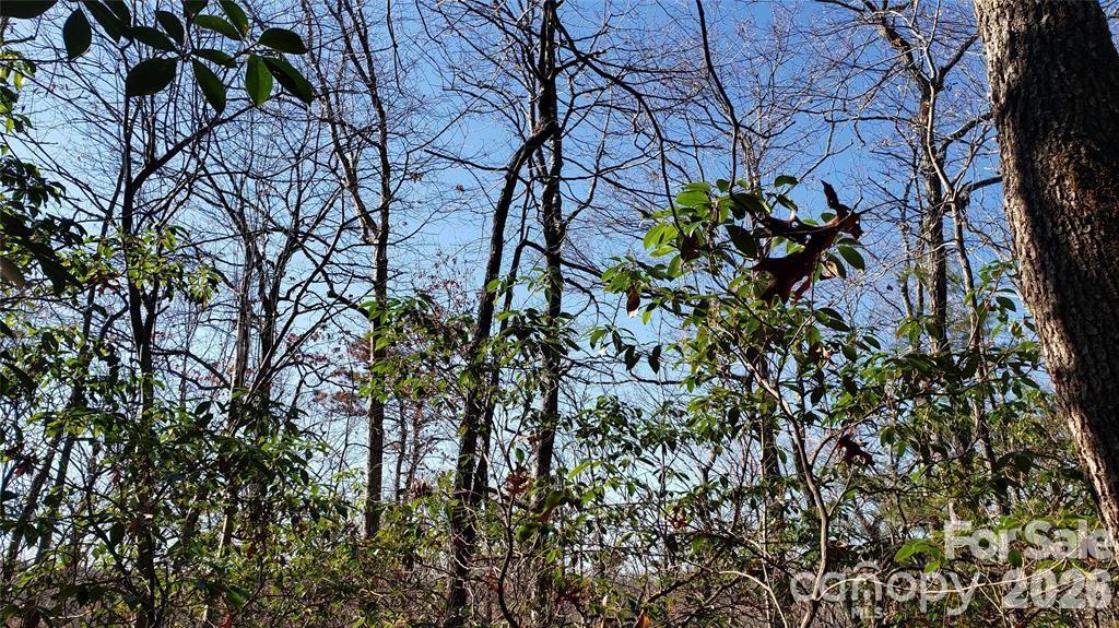 Tbd Galax Lane G-11 Property Photo 4