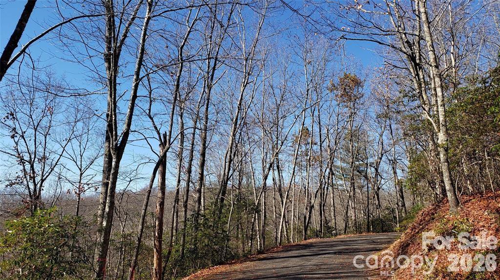 Tbd Galax Lane G-11 Property Photo 6