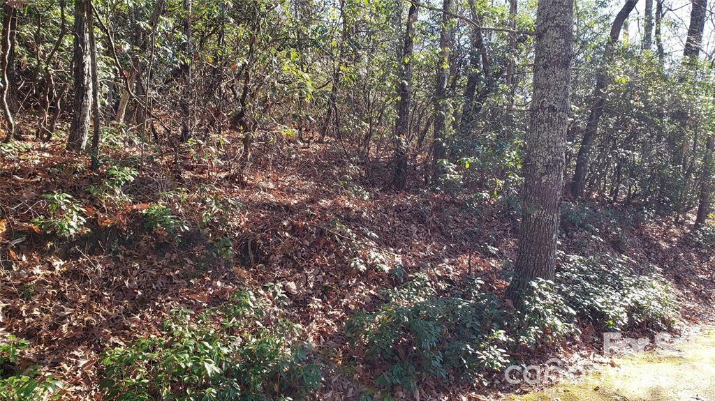 Tbd Galax Lane G-11 Property Photo 7