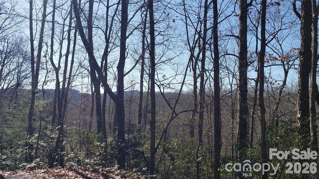 Tbd Galax Lane G-11 Property Photo 8