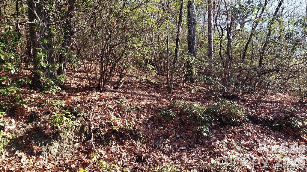 Tbd Galax Lane G-11 Property Photo 9