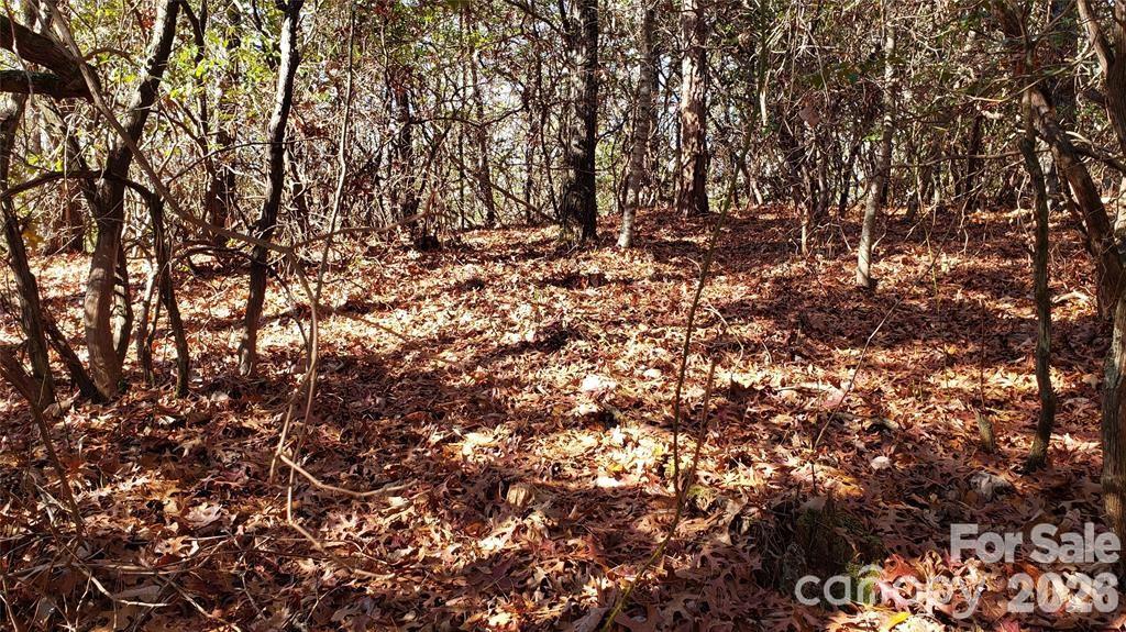 Tbd Galax Lane G-11 Property Photo 10