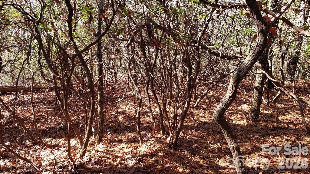 Tbd Galax Lane G-11 Property Photo 11