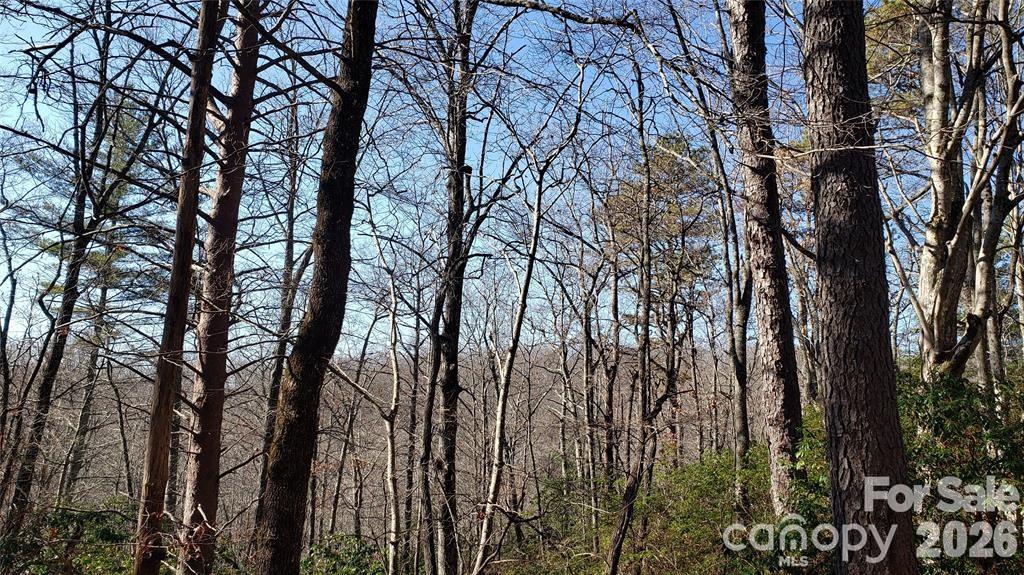 Tbd Galax Lane G-11 Property Photo 12