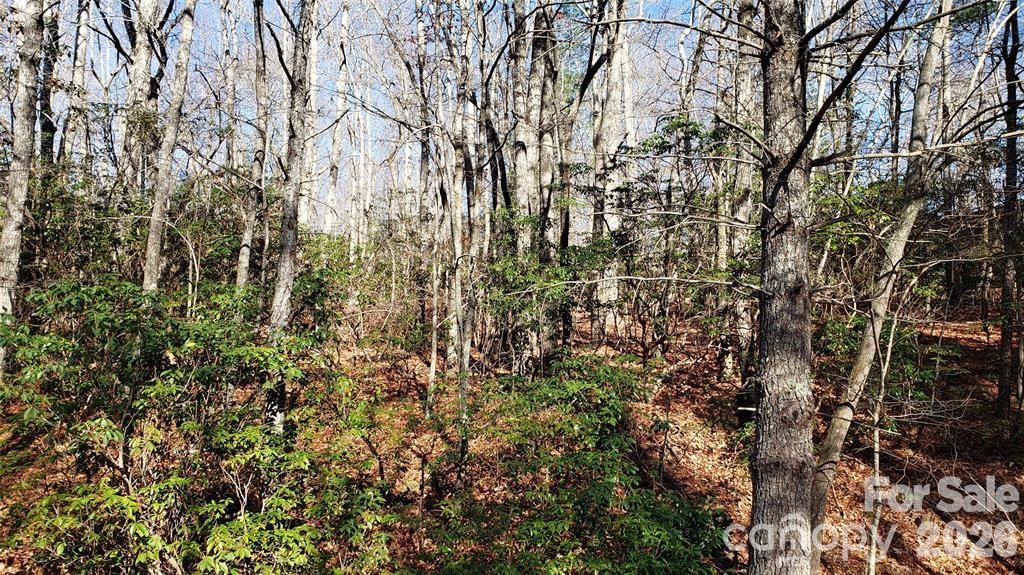 Tbd Galax Lane G-11 Property Photo 13