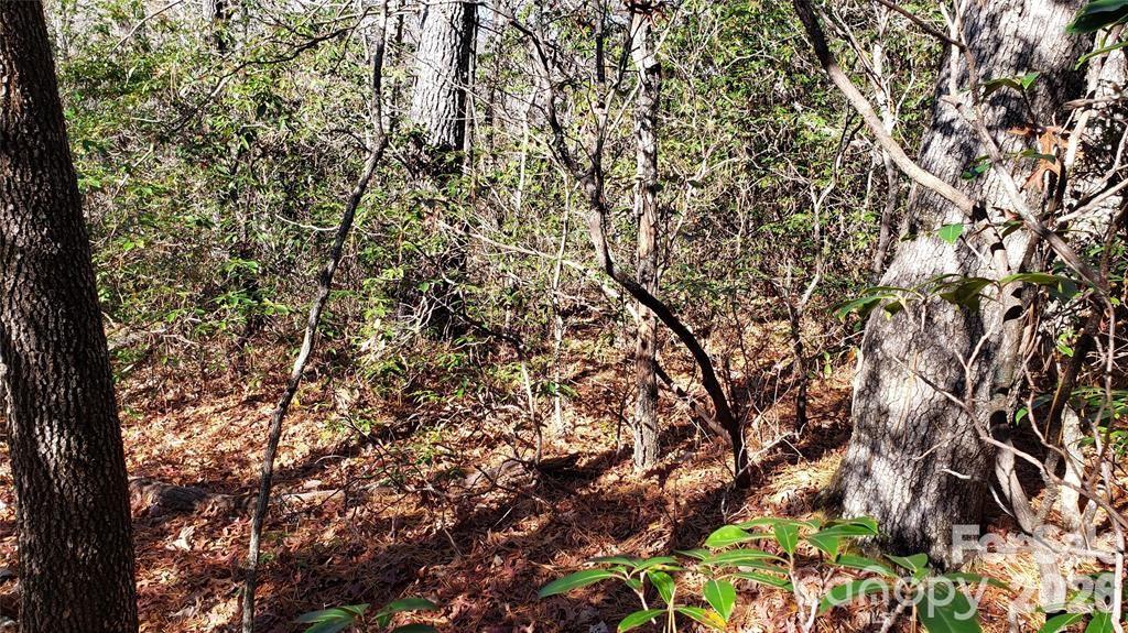 Tbd Galax Lane G-11 Property Photo 14