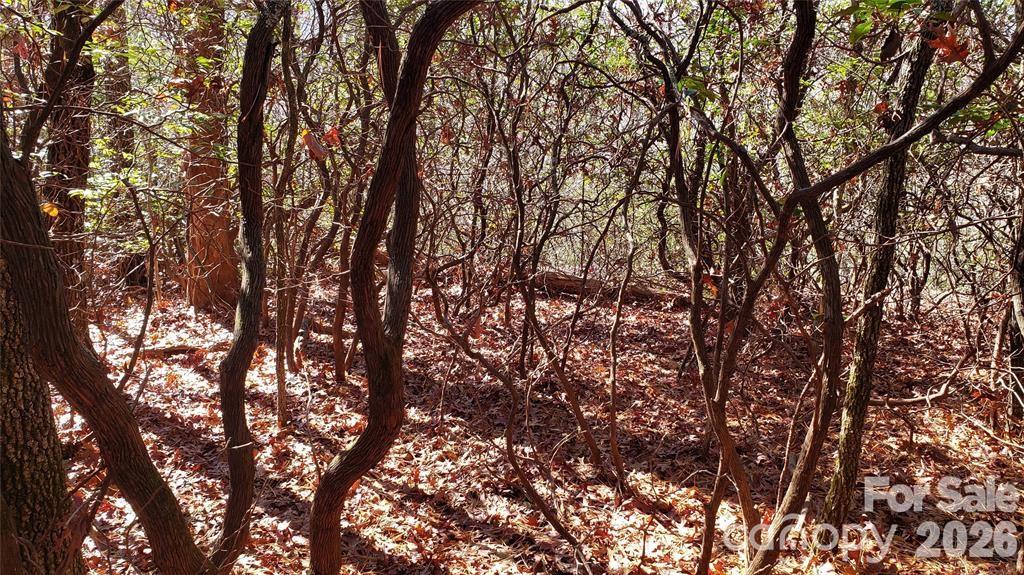 Tbd Galax Lane G-11 Property Photo 15