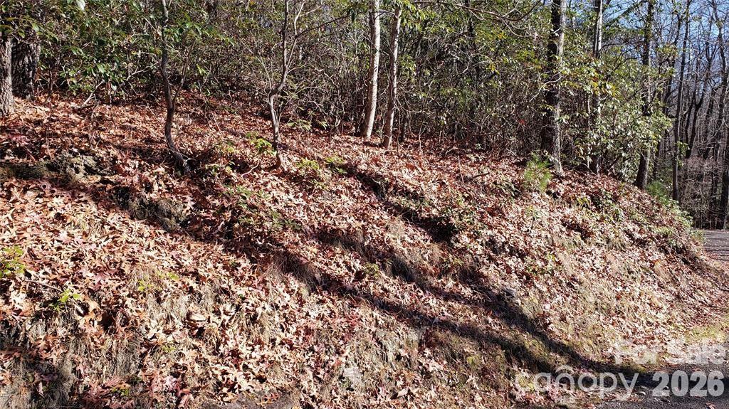 Tbd Galax Lane G-11 Property Photo 16