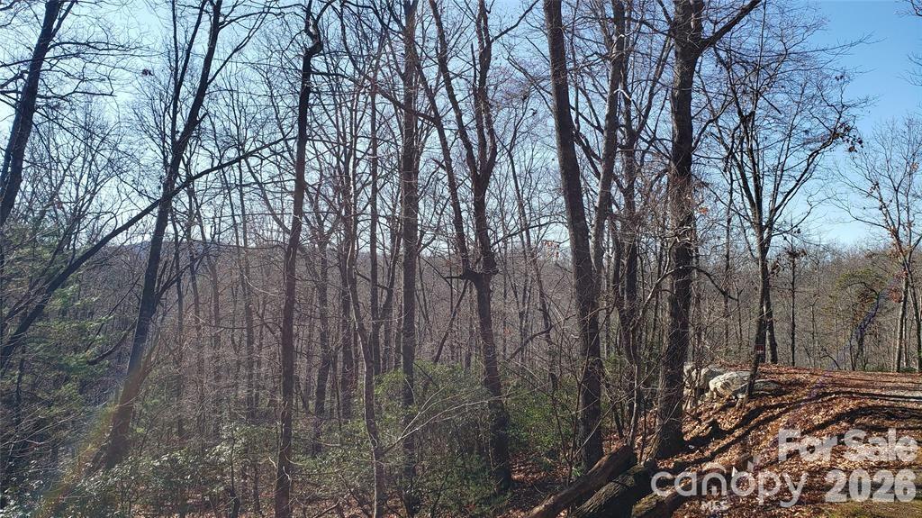 Tbd Galax Lane G-11 Property Photo 17