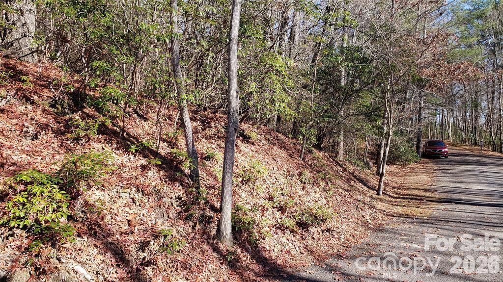 Tbd Galax Lane G-11 Property Photo 18
