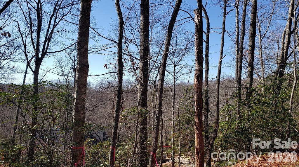 Tbd Galax Lane G-11 Property Photo 19