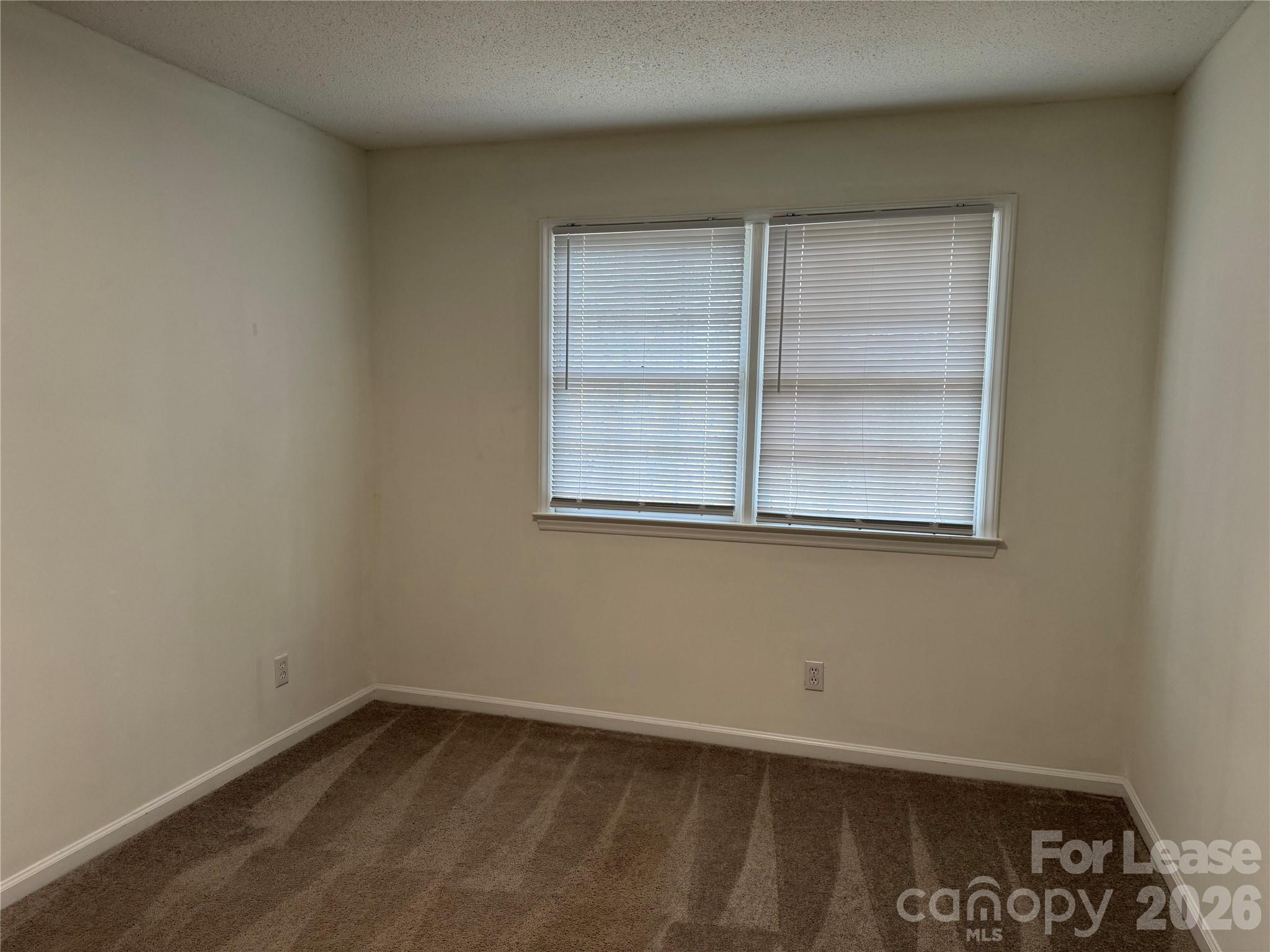 118 Ross Street B4 Property Photo 19