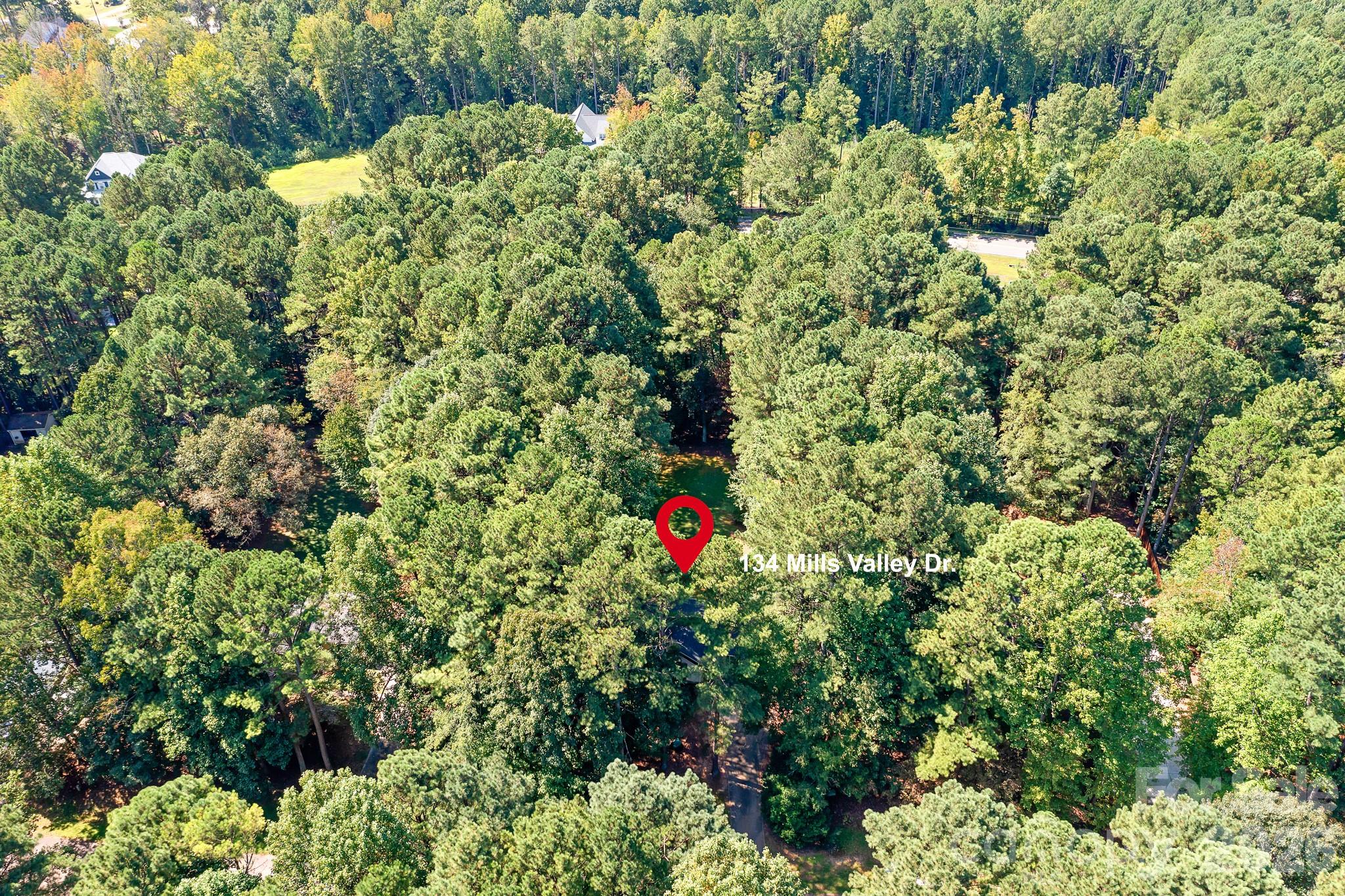 134 Mills Valley Drive Property Photo 11