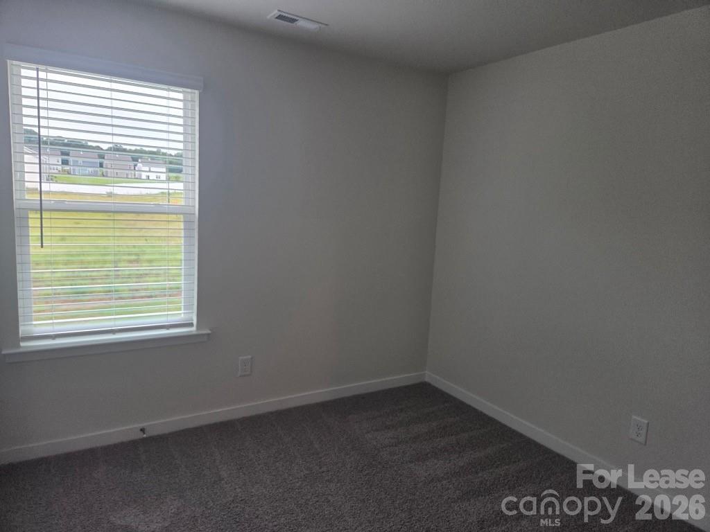 2805 Frances View Lane Property Photo 15