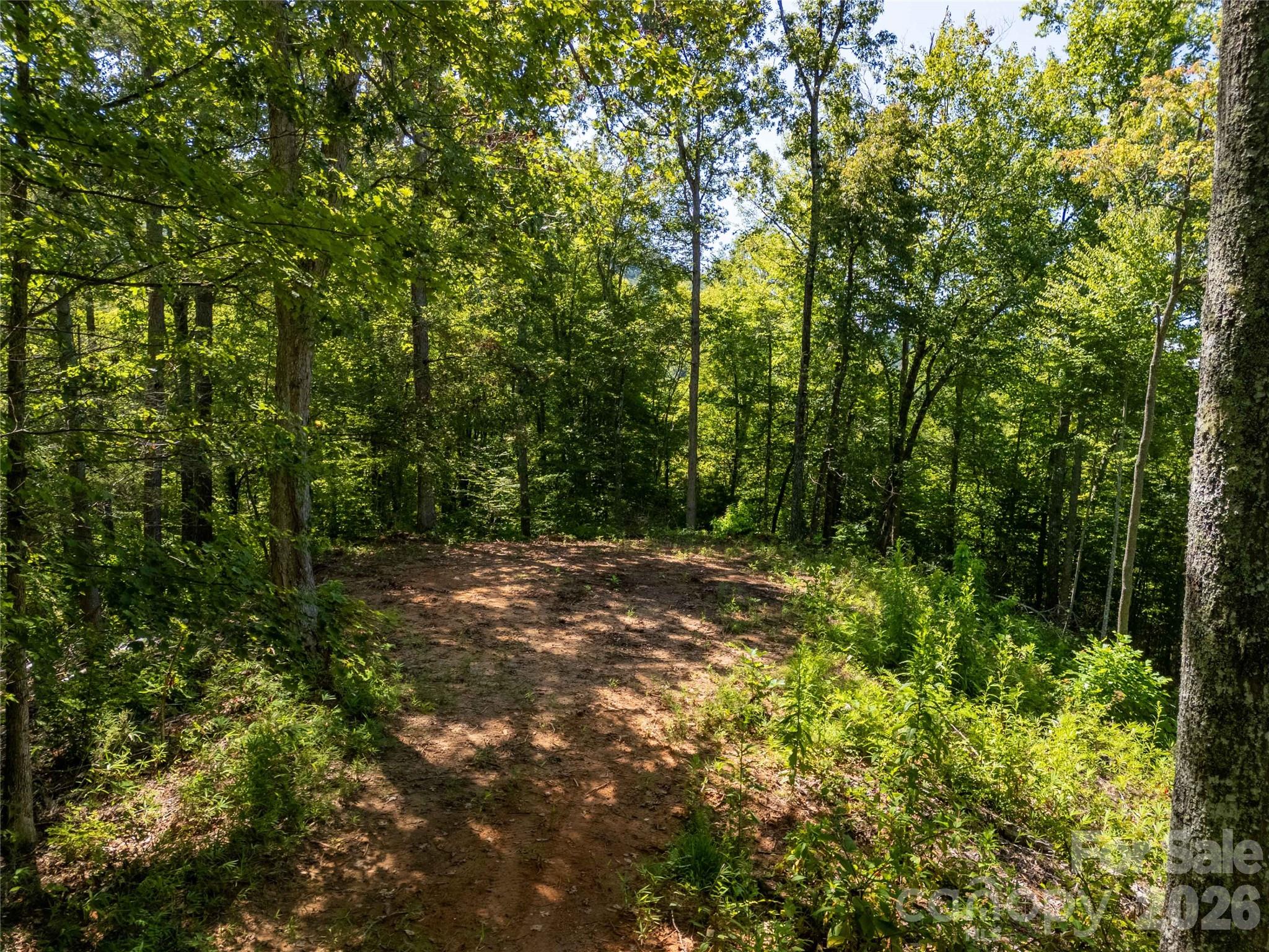 Lot C Claude Cook Road Property Photo 3