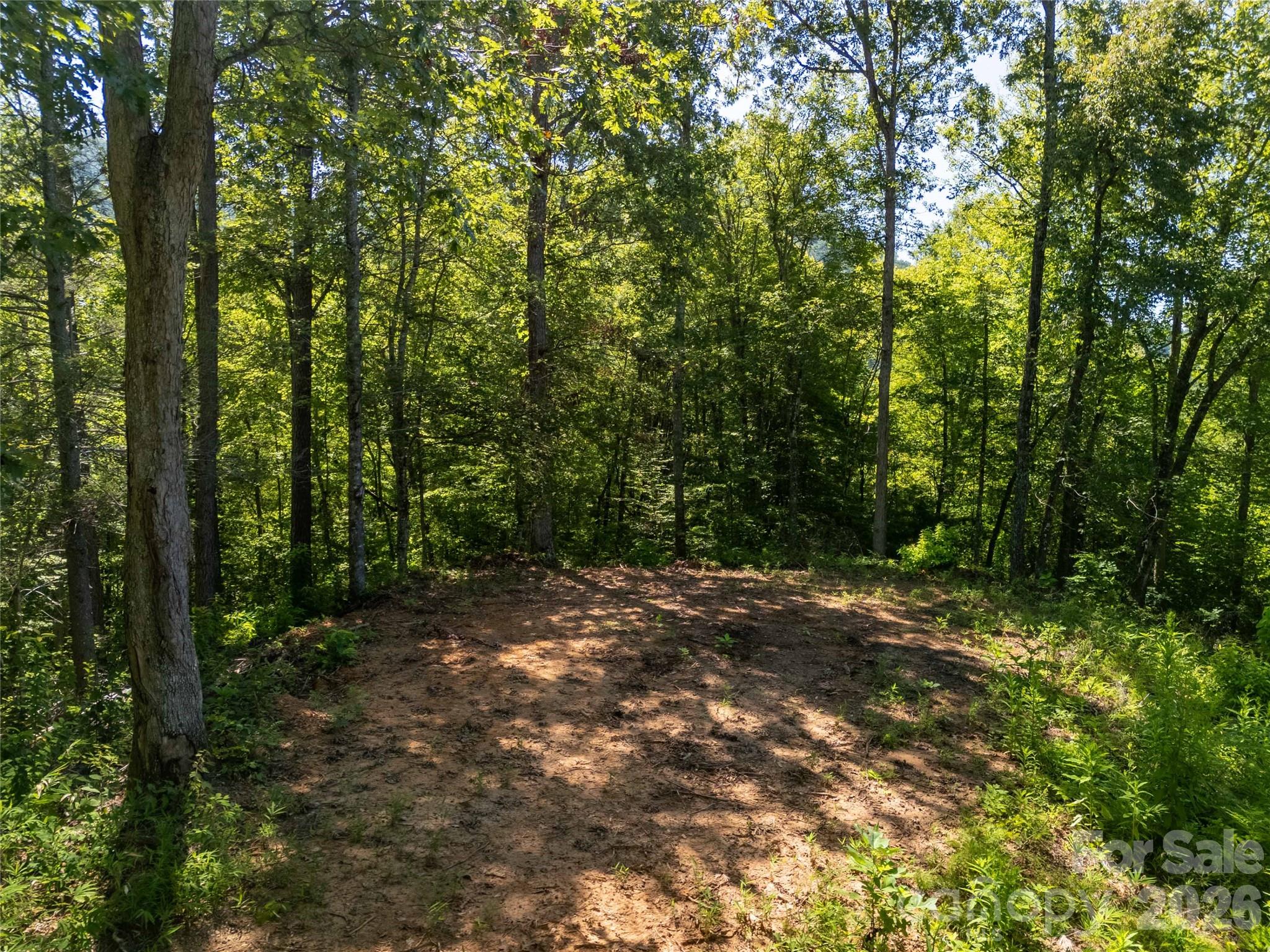 Lot C Claude Cook Road Property Photo 5