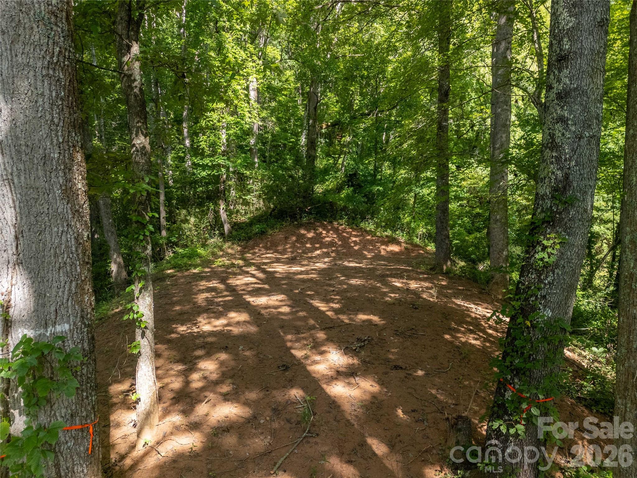 Lot D Claude Cook Road Property Photo 1