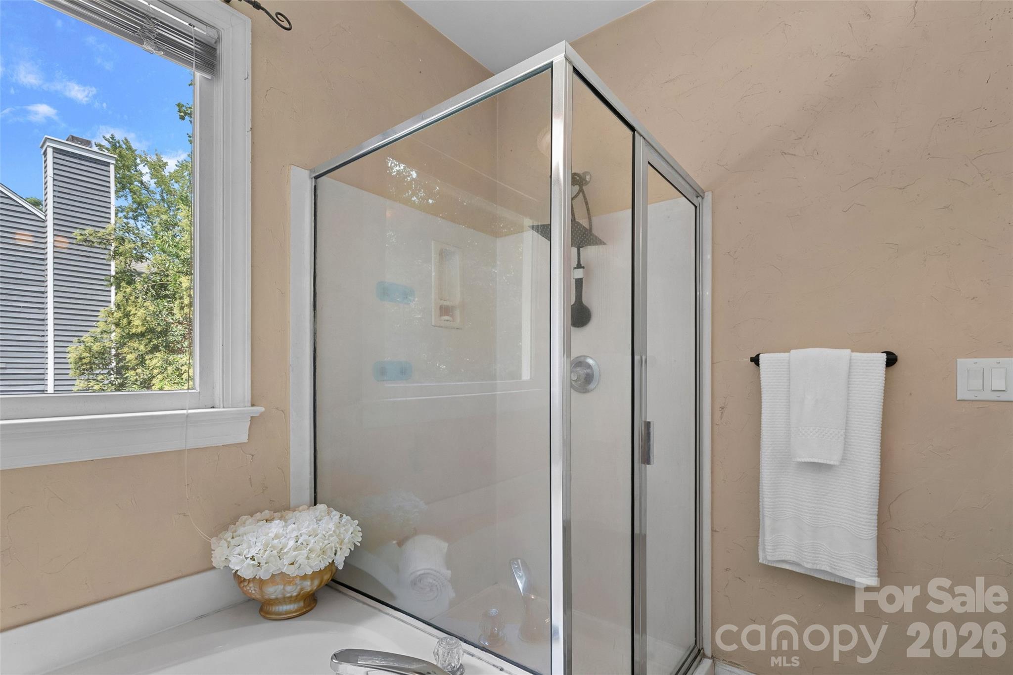 12507 Angel Oak Drive Property Photo 18