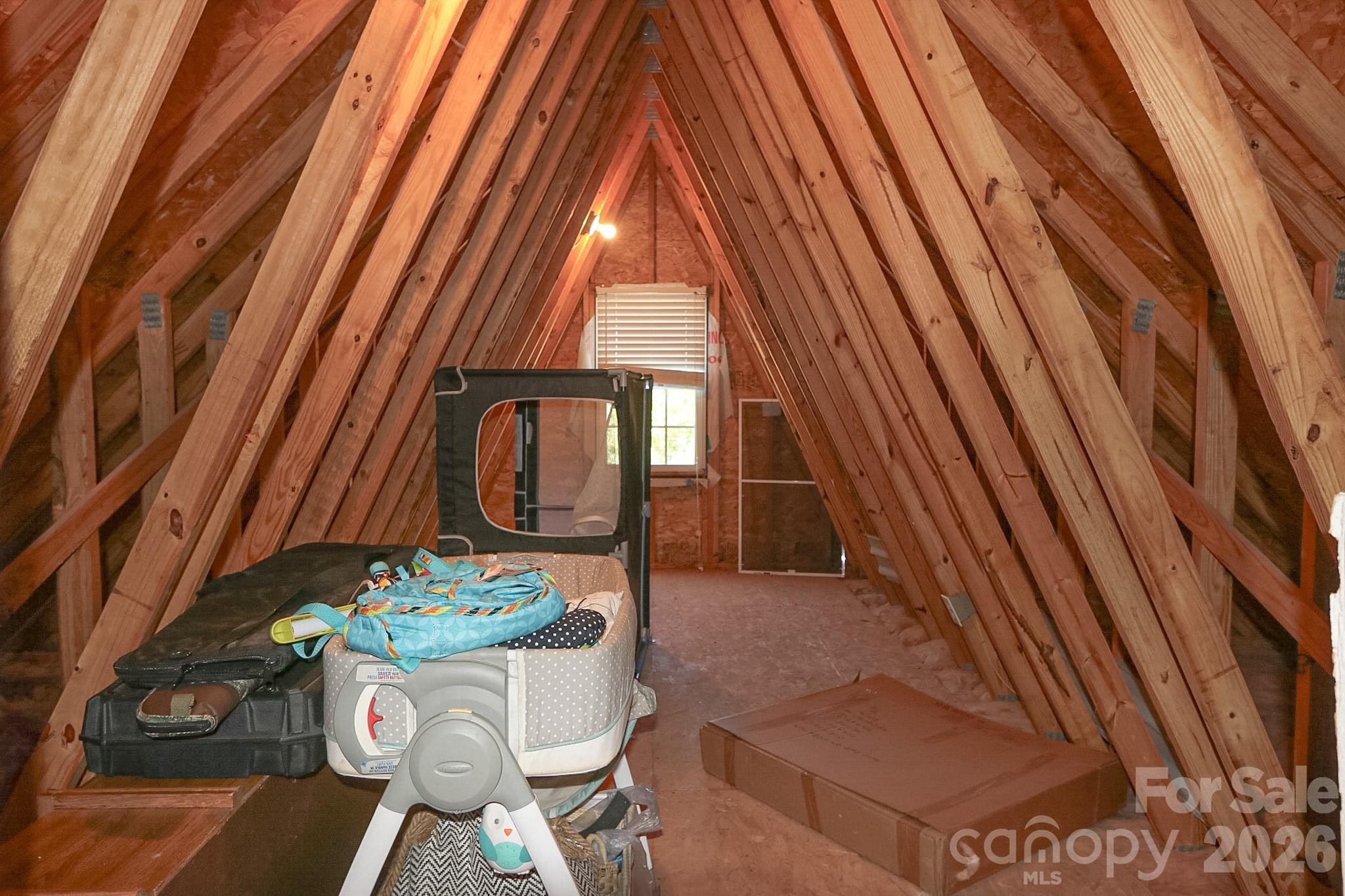 208 Triplett Street Property Photo 28