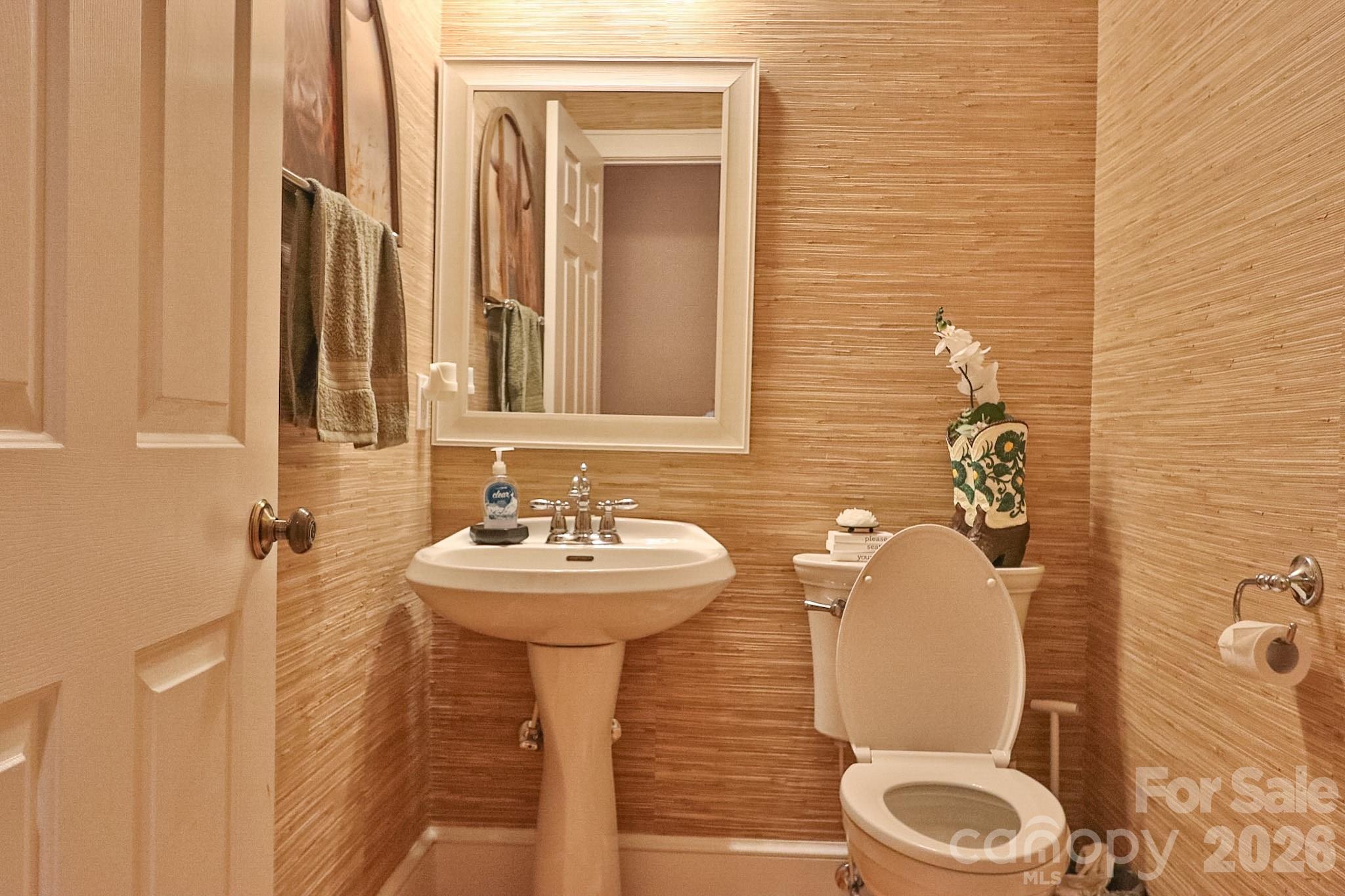 208 Triplett Street Property Photo 29