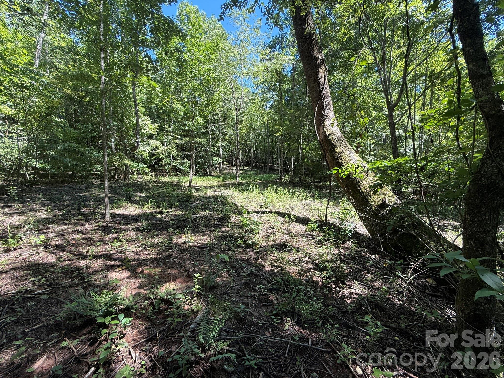 V/l Forest Country Drive 34 Property Photo 8