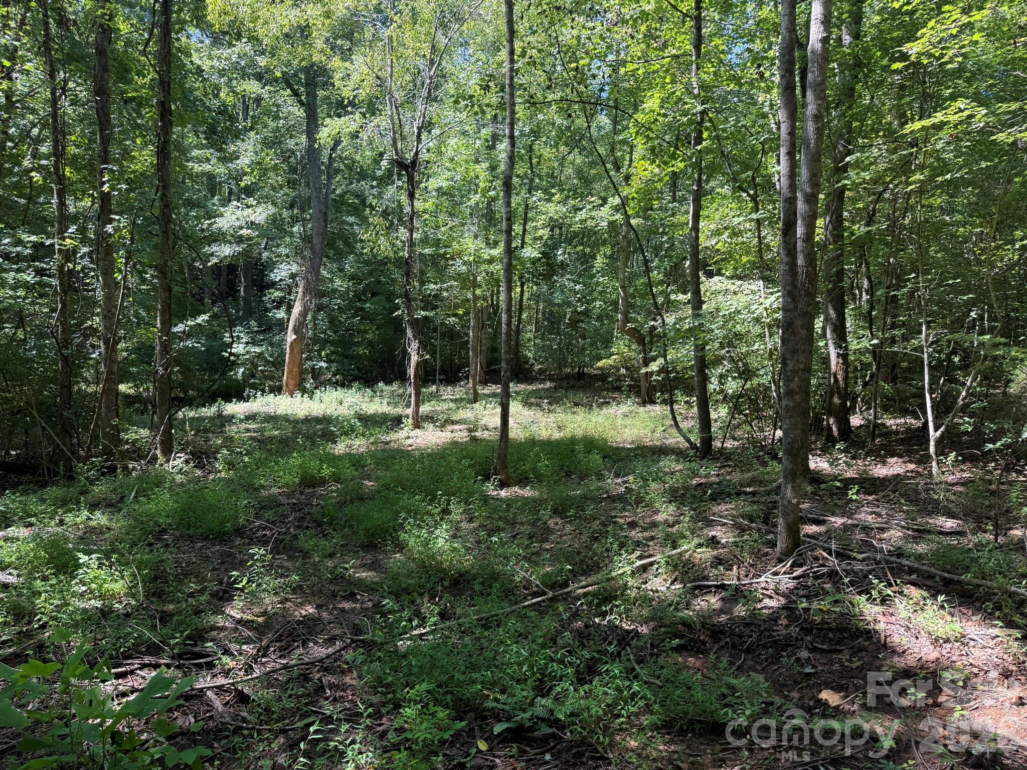 V/l Forest Country Drive 34 Property Photo 10