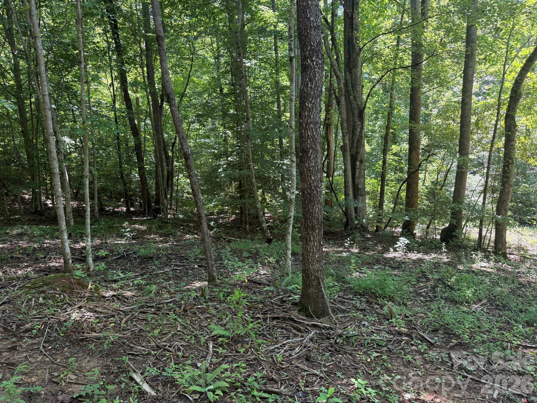 V/l Forest Country Drive 34 Property Photo 11