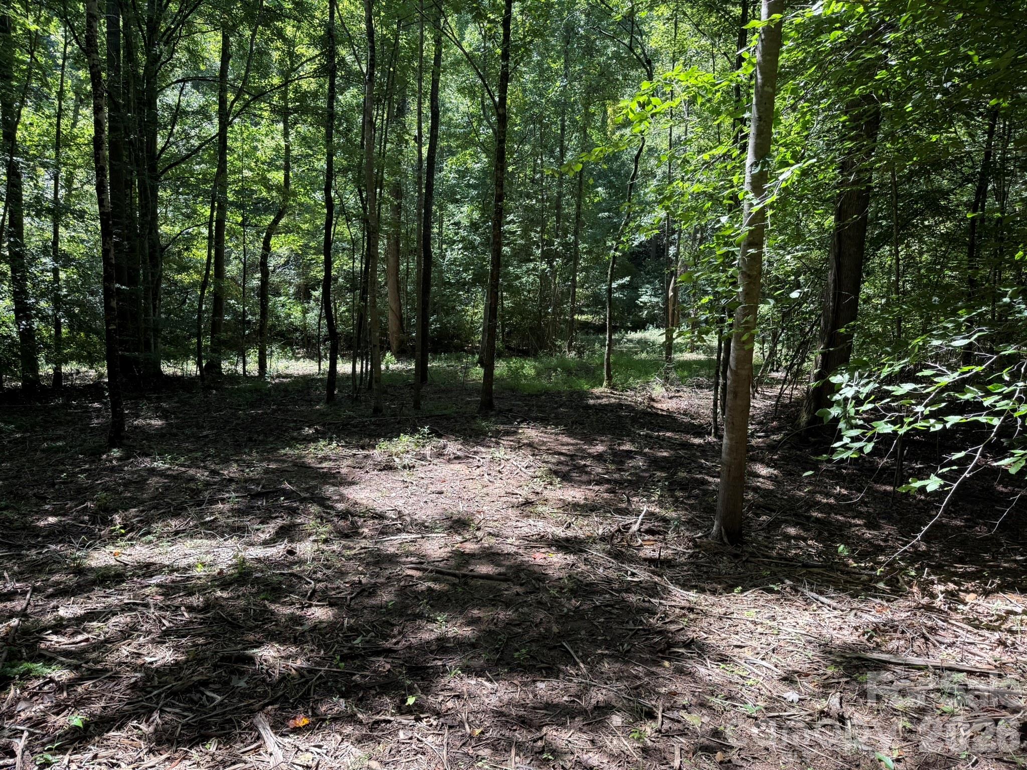 V/l Forest Country Drive 34 Property Photo 12