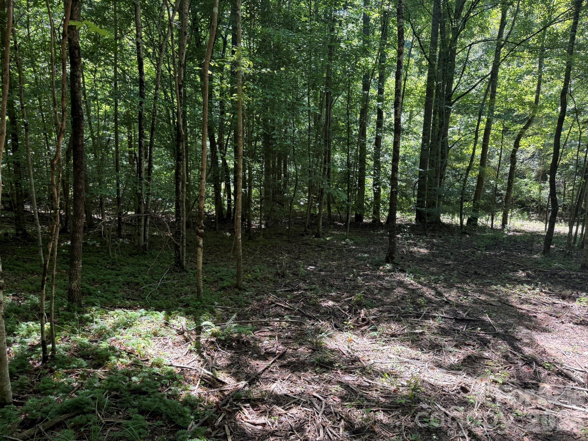 V/l Forest Country Drive 34 Property Photo 13