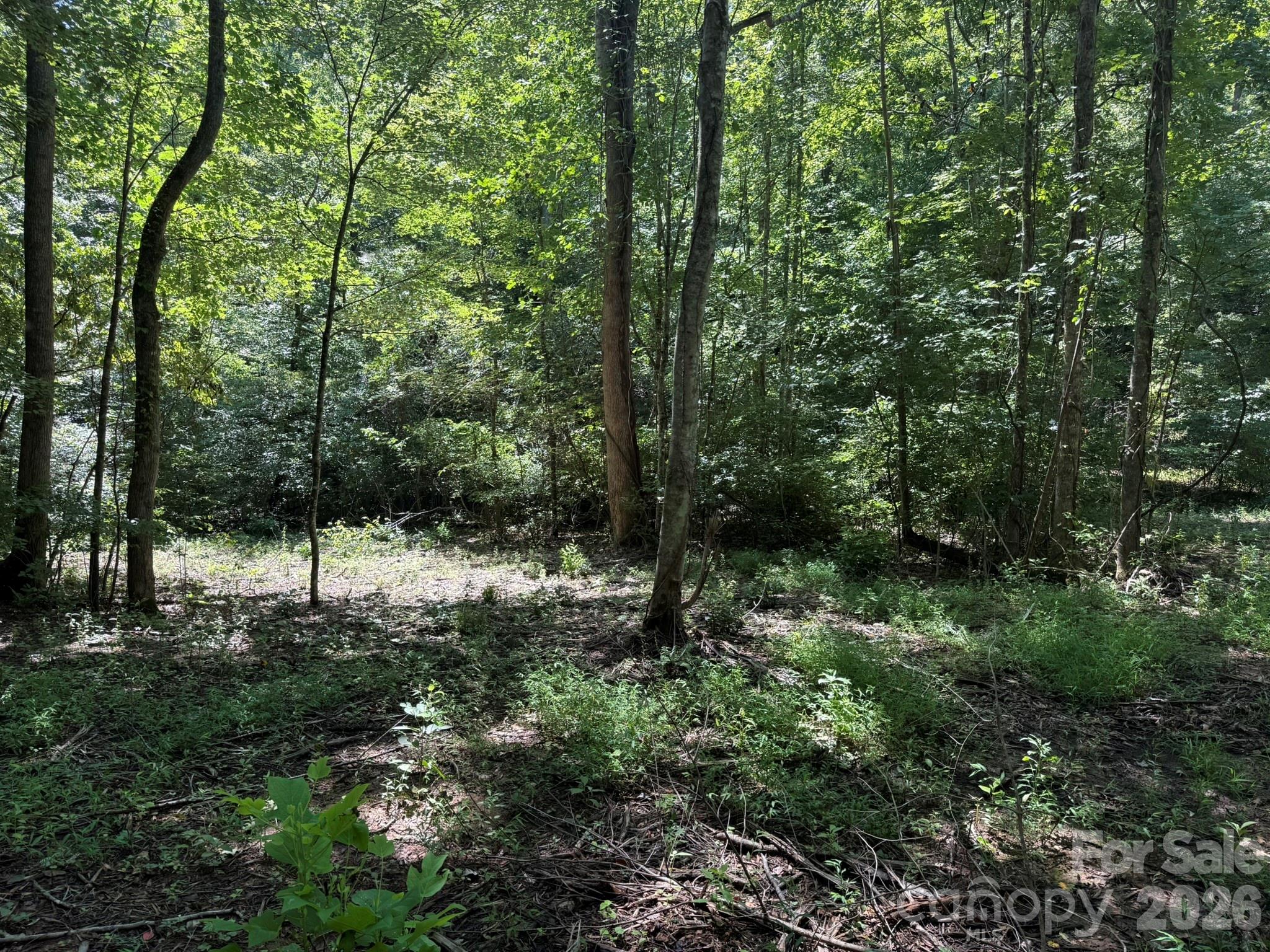 V/l Forest Country Drive 34 Property Photo 14