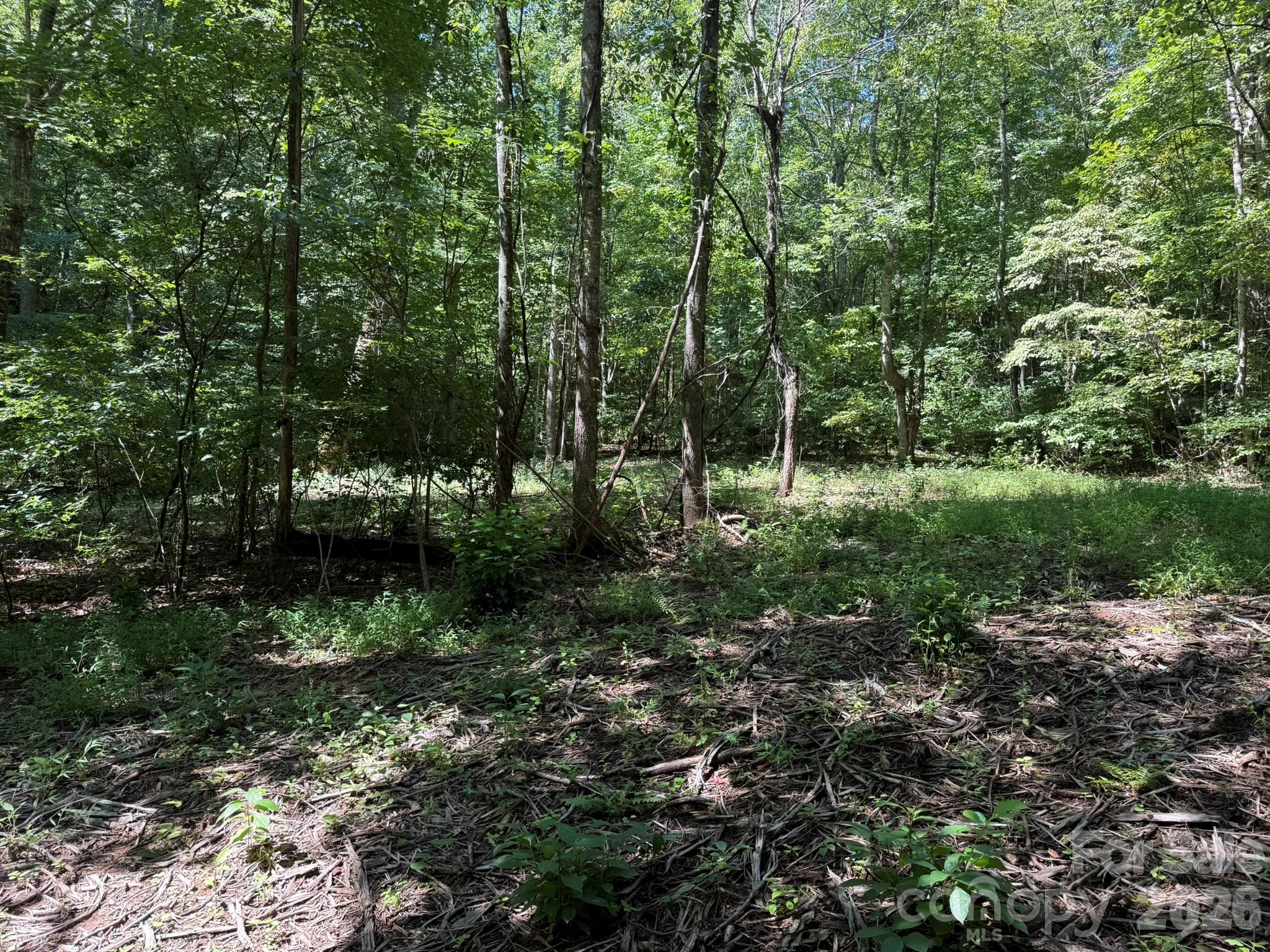 V/l Forest Country Drive 34 Property Photo 16