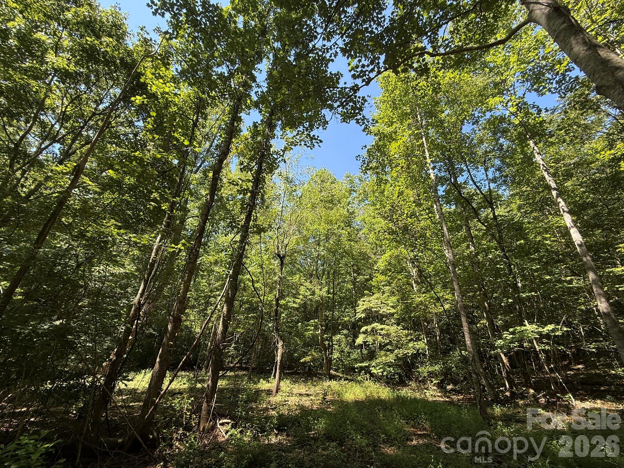 V/l Forest Country Drive 34 Property Photo 17