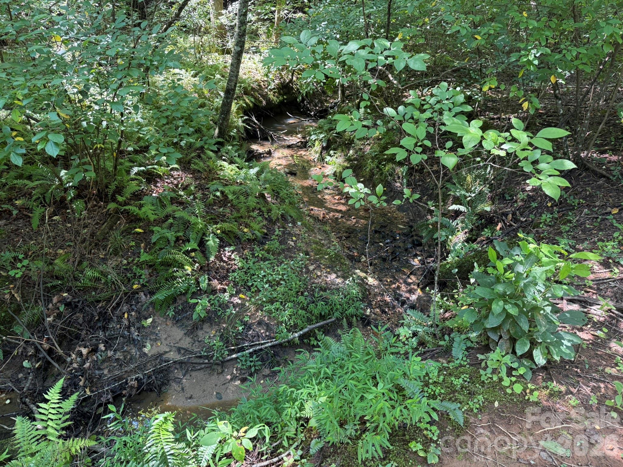 V/l Forest Country Drive 34 Property Photo 22