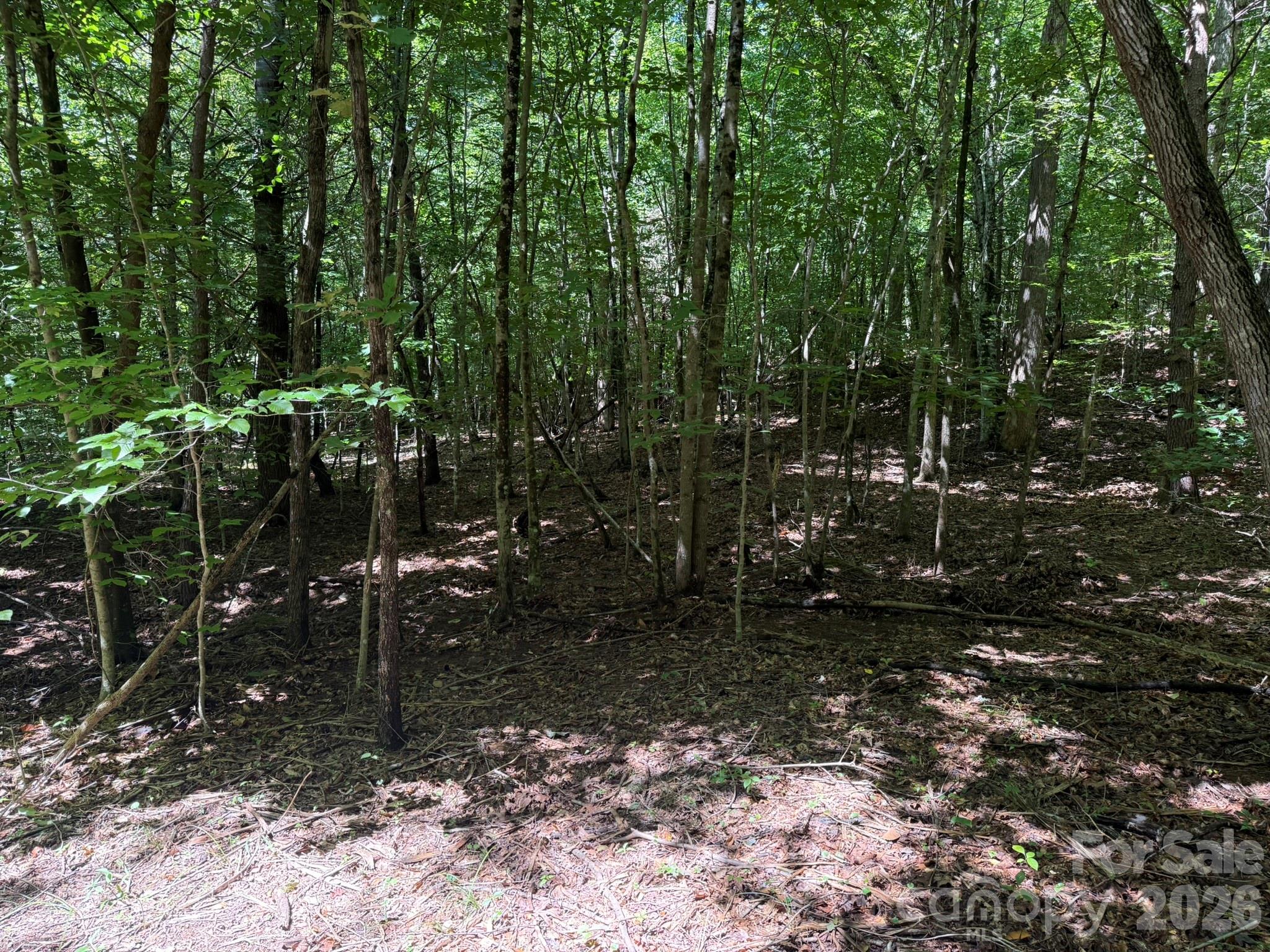 V/l Forest Country Drive 34 Property Photo 25
