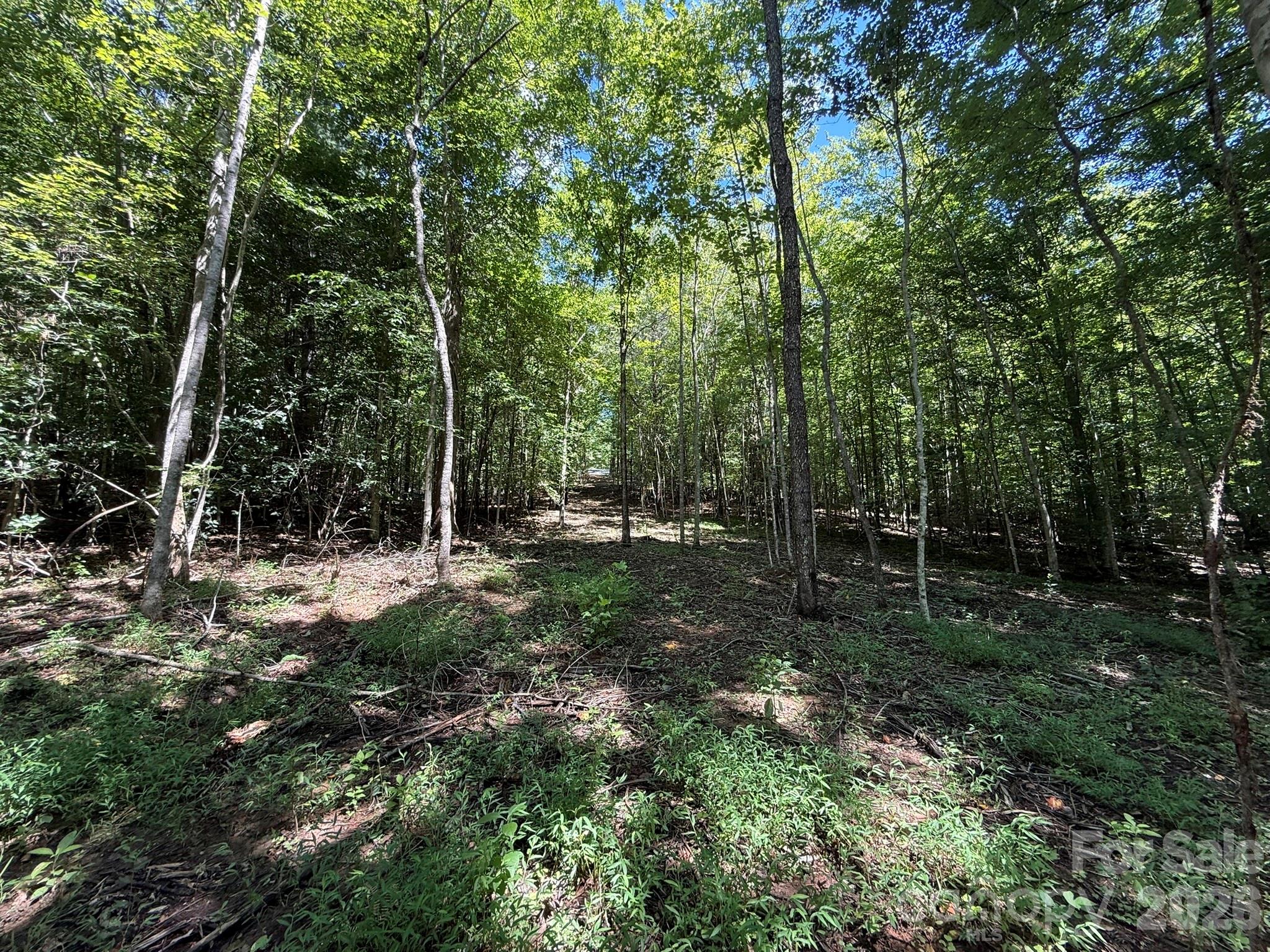 V/l Forest Country Drive 34 Property Photo 26