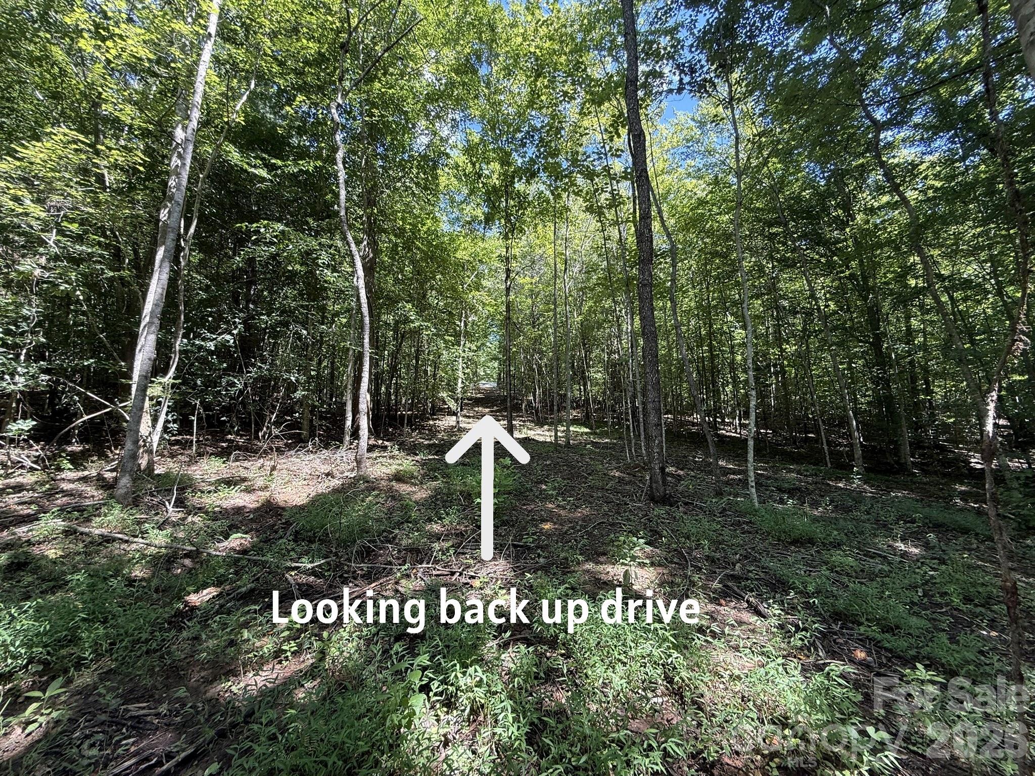 V/l Forest Country Drive 34 Property Photo 27