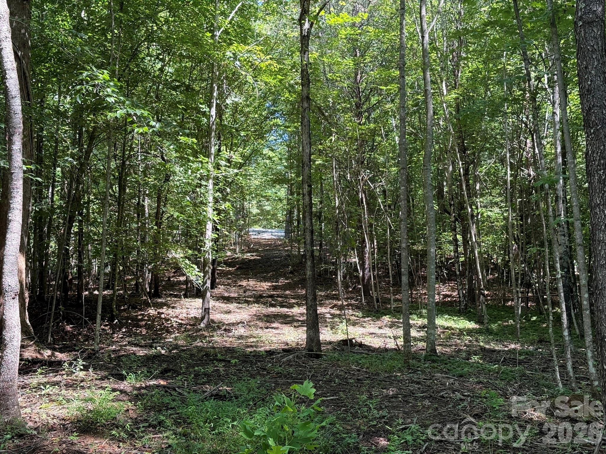V/l Forest Country Drive 34 Property Photo 28