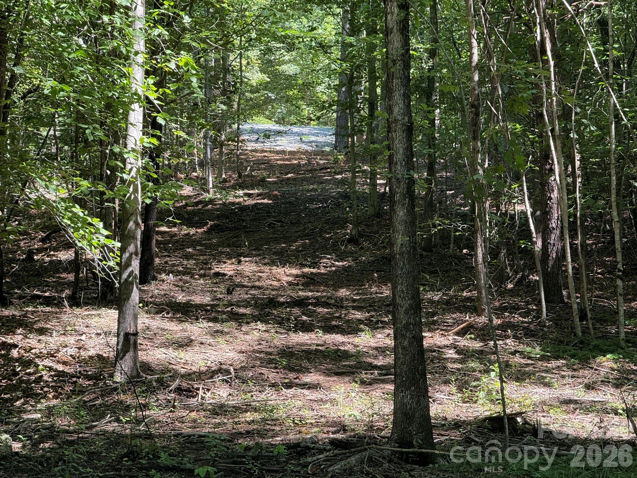 V/l Forest Country Drive 34 Property Photo 29