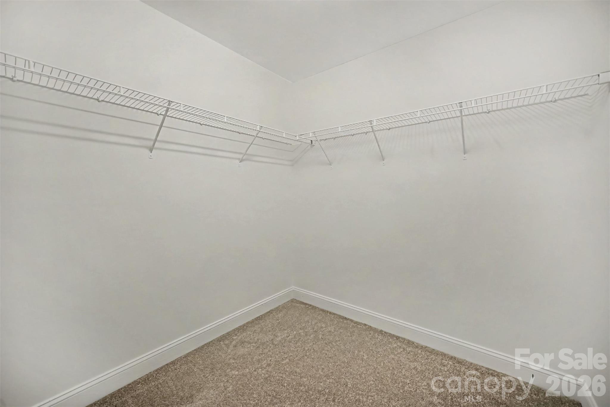 10033 Markus Drive Property Photo 22